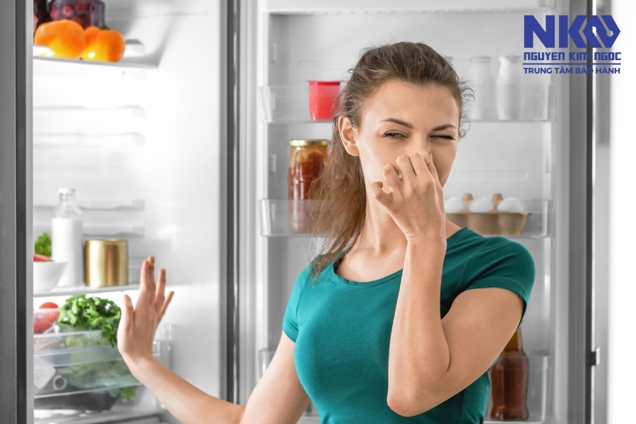 Nguyên nhân bảo quản rau trong tủ lạnh nhưng vẫn nhanh bị hư hỏng