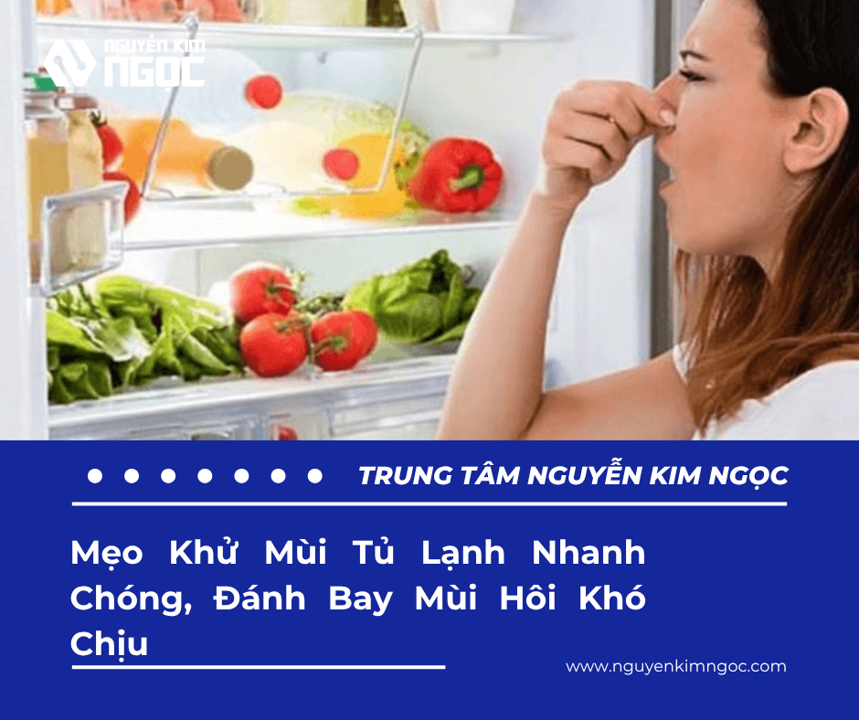 5 Mẹo Khử Mùi Tủ Lạnh Nhanh Chóng, Đánh Bay Mùi Hôi Khó Chịu