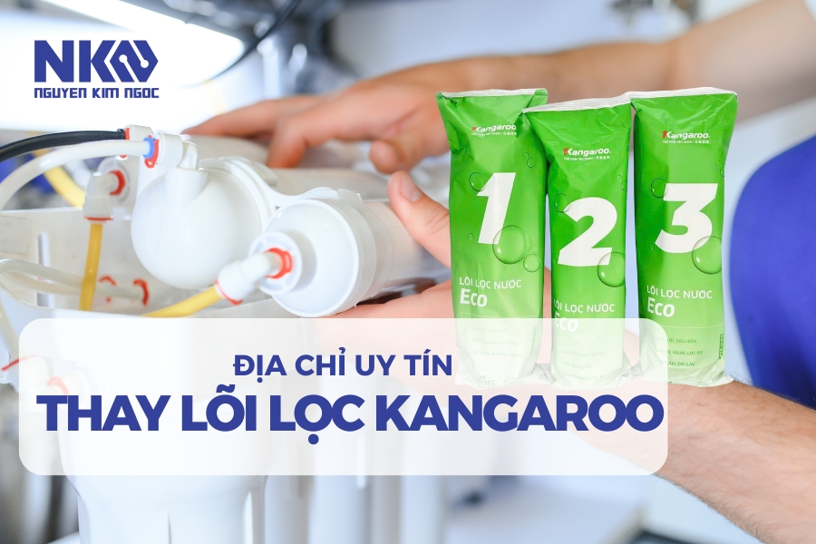Sửa Chữa Thay Lõi Lọc Nước Kangaroo Định Kỳ Ở Đâu Uy Tín TPHCM